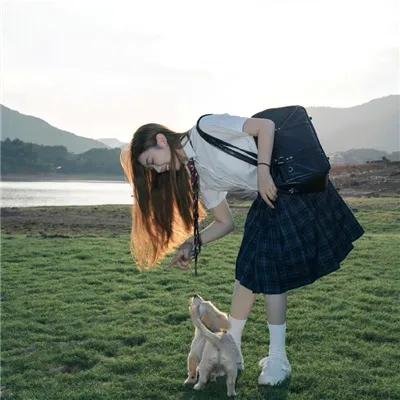 凝视猎物